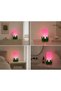 Peony Flora Decorative Ambient Lamp - Peony Flora Decorative Ambiance Table and Night Lamp - 6