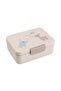 Lunch Box with Divider Celebration Sand