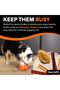 BIONIC Treat Star Dog Toy - 21.5 cm - 4