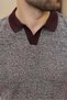 Burgundy Polo Collar Regular Fit Men's Knitwear T-Shirt E7496 - 3