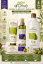 D'Olive Repairing and Nourishing Care Set