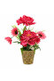 Zeem Red Artificial Flower Plant | Elegant Chalk Pot | 30 cm | Premium Silk Blooms