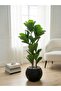 Premium Artificial Decorative Tree with Stylish Round Pot