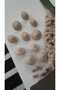 Ǝe Polyester Antique Button Mussel Effect mm 110 Pcs