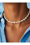 Real Sea Shell Women's Summer Beach Necklace