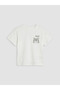 Lcw Babycrew Neck Baby Boy T-Shirt 3-Pack - 2