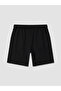 Vizyon New Season Regular Fit Striped Men's Shorts - 7