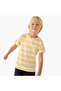 Crew Neck Short Sleeves T-shirt with Stripes