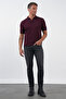 Burgundy Polo Collar Short Sleeve Knitted Comfort Fit 100% Cotton Sweater 1012260151 - 2