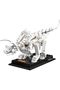 Ideas Dinosaur Fossils - Model No: 21320, Plastic - 7