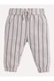 Boys "WILDLIFE" Graphic Sweatshirt & Striped Jogger Pants Set - 5