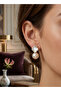 Brass Gold Color Zircon Stone Flower Design Earrings - 2