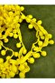 Decorative Yellow Pompom Fringe Ribbon -18 Meters