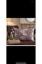 Cushion Cover with Cotton Akfi̇l Cover