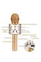 Wireless Bluetooth Karaoke Microphone Machine,Portable Handheld Karaoke Bluetooth Handheld Karaoke Speaker Player - 2
