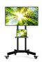 Mobile TV Cart with Wheels for 32-65 Inch LCD LED Plasma Flat Screen TVs- Height Adjustable Rolling TV Stand