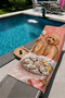 Coffee Color Dog Tableware Patterned 70X150 Beach Towel - 2