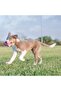 Puppy Teething Stick Puppy Dog Teething Toy L - 3