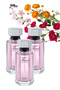 3 قطع من عطر مدام فلاور 100 مل