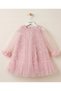 Baby Girl and Child Rose Embossed Tulle Detailed Birthday and Special Occasion Dress with Tulle Sleeves - 7