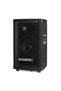 Boxă DJ TP-8, putere 300 W