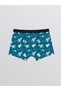 Printed Boys' Boxer Trunks 3-Pack - 8