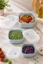 Plastic Multi-Purpose Food Storage Container Set with Air-Release Seal and Leak-Proof Lid, 3-Piece, 500 ml + 900 ml + 1500 ml - 6