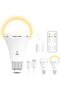 USB Rechargeable 2600mAh E27 LED Bulb Remote Timer Hook Pendant Night Light