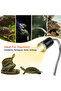 Reptile heating lamp with UVB and UVA, 50W, ceramic base, rotatable, flexible clip, automatic timer, suitable for turtle and lizard enclosures. - 4