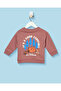 Infant Boys Rust Placement Print Crew Neck Sweatshirt - 4