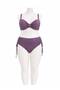 Women's Plum Lycra Flexible Stylish Comfortable Plus Size Battal Wire Underwire High Waist Bikini Set