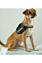 Convert Dog Harness Black Size m Dog Chest Harness - 6