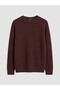 Xside Claret Red Crew Neck Men's Knitwear Sweater - 5