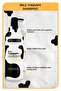 Milk Therapy Shampoo 1000 ml - Milk Protein, Repairing, Nourishing Effect - 2