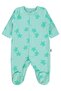 Turtle Print 1-9 Months Jumpsuit - Green