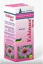 Echinace Syrup 120 ml enhance immunity against cold and Flu. - 2