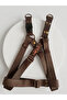 Dog Chest Collar for Large Breeds, Adjustable Dark Khaki Column Cord and Nubuck Leather - 2