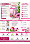 Echinace Syrup 120 ml enhance immunity against cold and Flu.