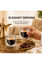 2PCS Double Wall Glass Tumbler 100ml, Borosilicate Espresso Cup Heat Resistant Clear Coffee Glasses, DG101 - 2