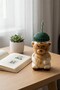 Teddy Bear Design Glass Flask with Straw and Protective Cap 600 ml (Green, Yellow, Blue, Black, Red Color Options) - 6