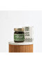 Premium Baladi Samra (Acacia) Honey – Hanaa | 250g - 3