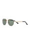Ds 2495 C3 Men's Sunglasses