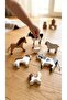 Waldorf Wooden Animal Farm Set 6 Pieces - 6