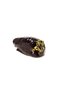 Conical Chestnut Sugar