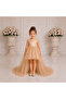 Suneh Girl's Tan Color Satin Tulle Tail Evening Dress 1-5 Years - 3
