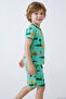 Boy's Shorts Pajama Set Safari Themed Cute Animals Patterned 1.5-5 Years Old, Green - 2