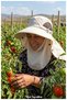 Unisex Safari Hat with Breathable Mask for Farming, Camping, and Fishing - 7