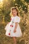 Girl's Tulle Detailed Appliqued Princess Dress – Special Occasion & Birthday Dress - 2