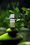 Bay Leaf Oil 10ml - 2