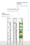 Skin Renewing and Anti-Aging, Repair Peptide Skin Care Serum 30 ml (PEPTIDE COMPLEX) - 4